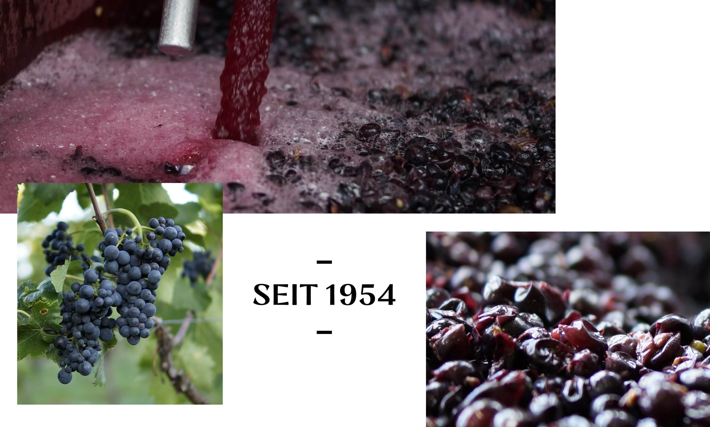 Foto 3 von Weingut Eppelmann
