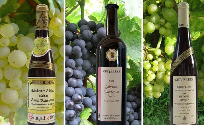 Foto 2 von Weingut Erbes