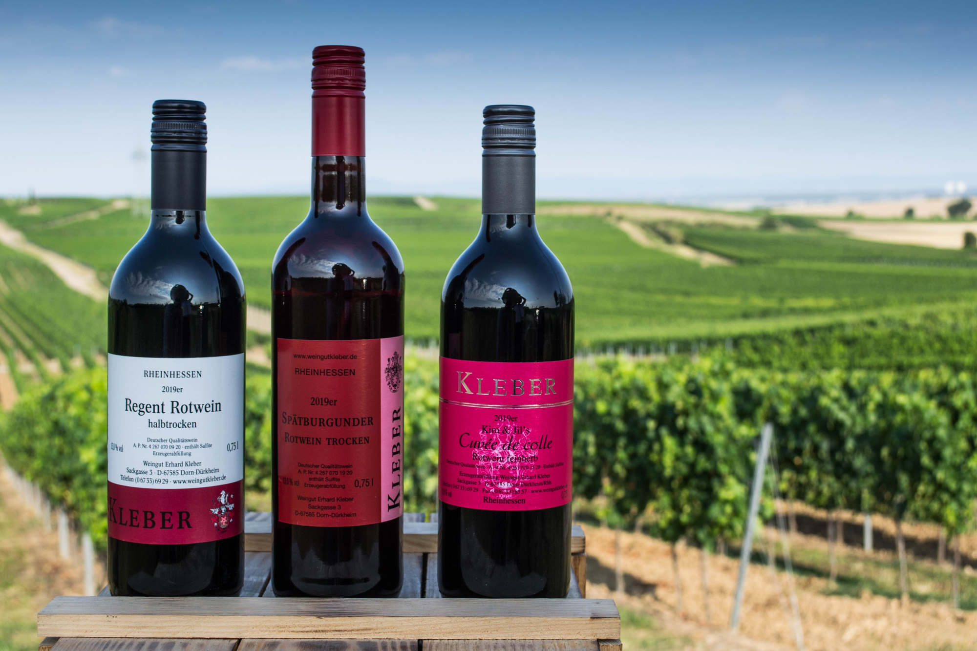 Weingut Erhard Kleber