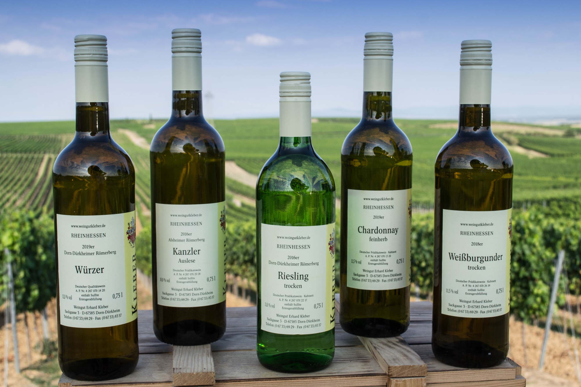 Foto 1 von Weingut Erhard Kleber
