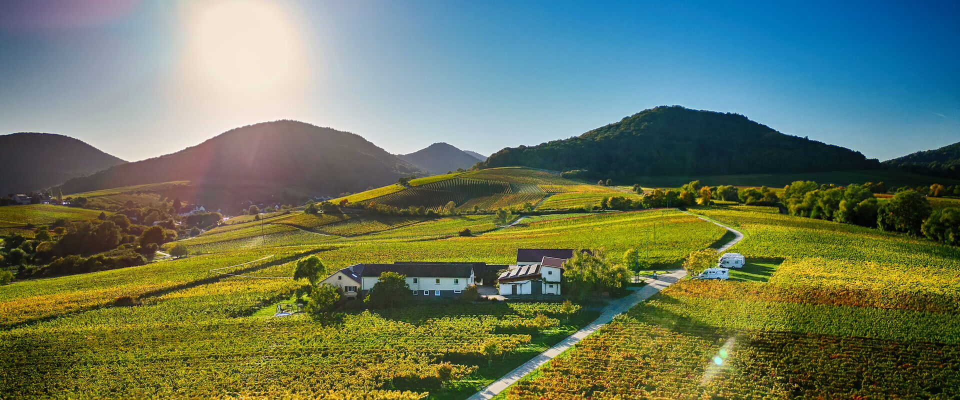 Weingut Erlenwein