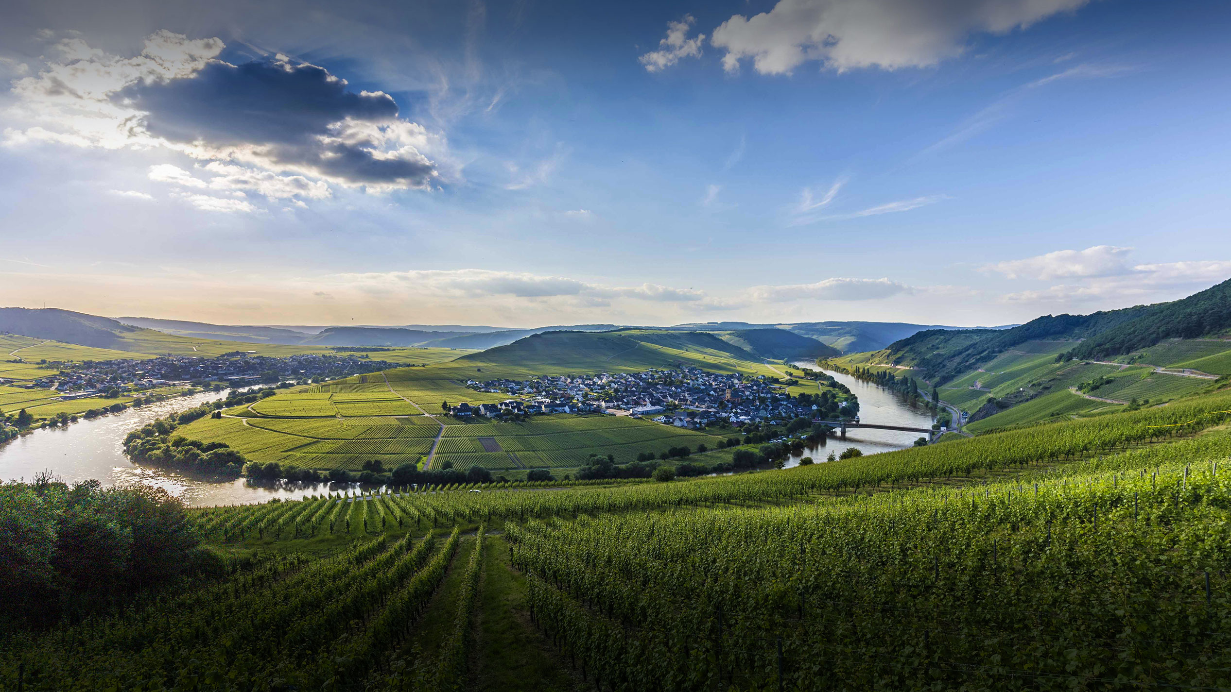Foto 1 von Weingut Ernst Eifel