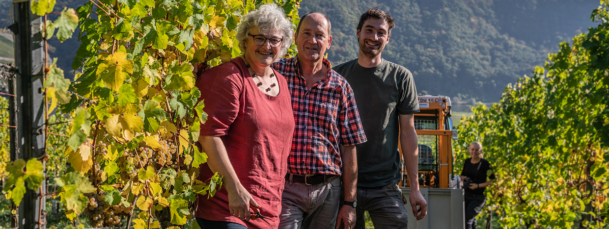 Weingut Ernst Hoffmann