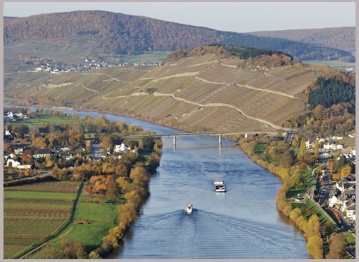 Foto 3 von Weingut Erz