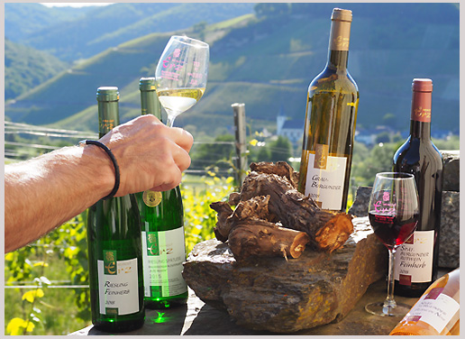 Foto 2 von Weingut Erz