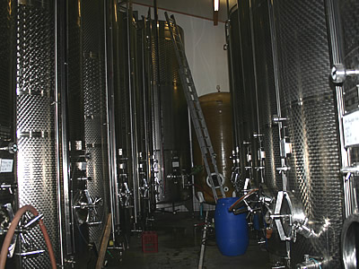 Foto 2 von Weingut Eugen Volz & Sohn GdbR