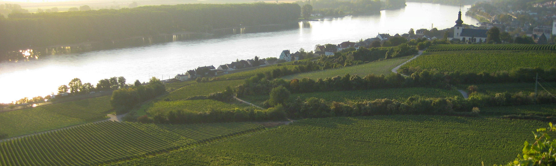 Foto 3 von Weingut Eugen Wehrheim