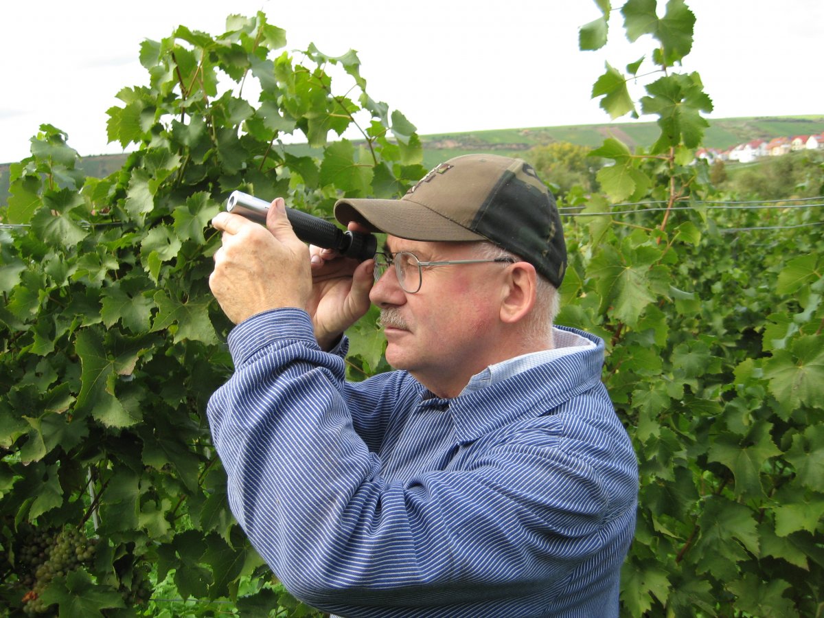 Foto 6 von Weingut Eugen Wehrheim