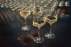 Foto 2 von Weingut F. E. Schott