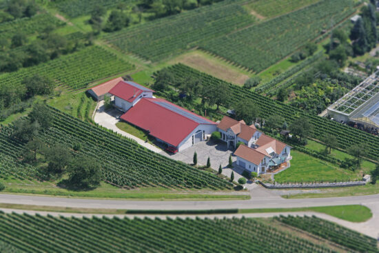Foto 5 von Weingut Faschian