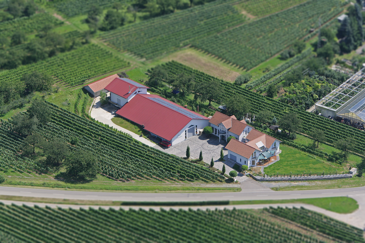 Foto 6 von Weingut Faschian