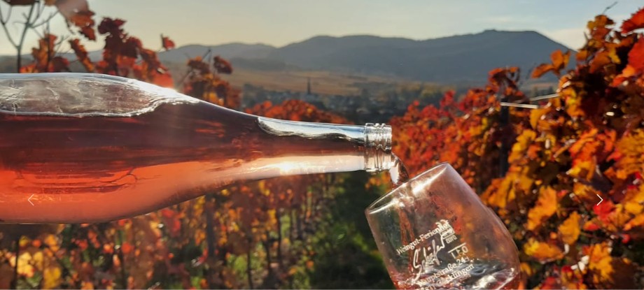 Foto 1 von Weingut & Ferienhof Schäfer
