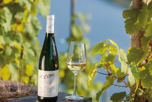 Foto 6 von Weingut-Ferienwohnungen Franz-Josef Ehses