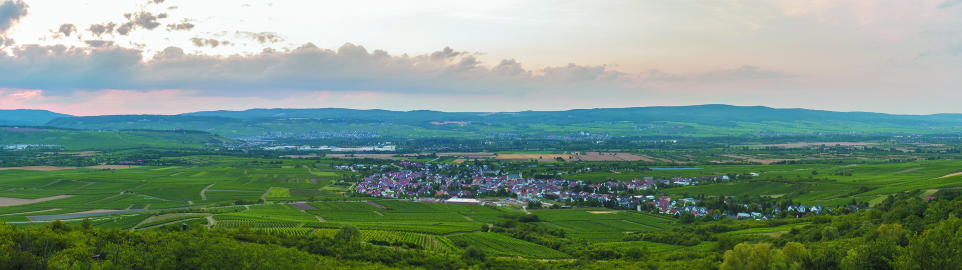 Weingut Feser