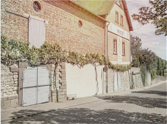 Foto 2 von Weingut Fippinger-Wick
