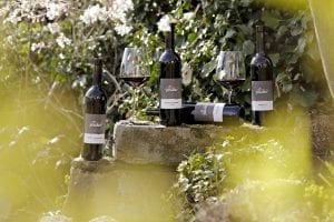Foto 1 von Weingut Fischer