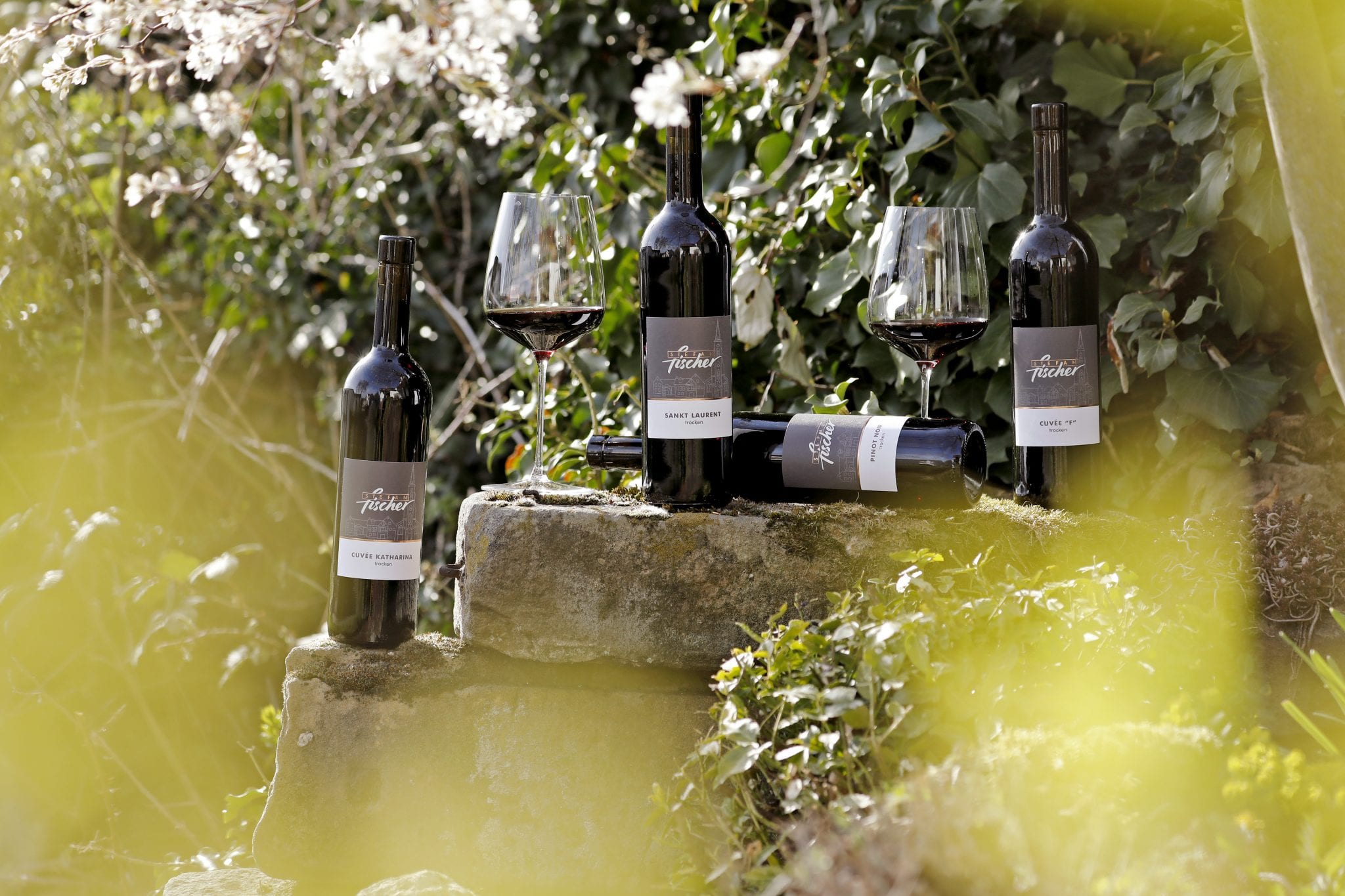 Foto 3 von Weingut Fischer