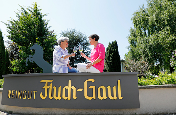 Foto 7 von Weingut Fluch-Gaul