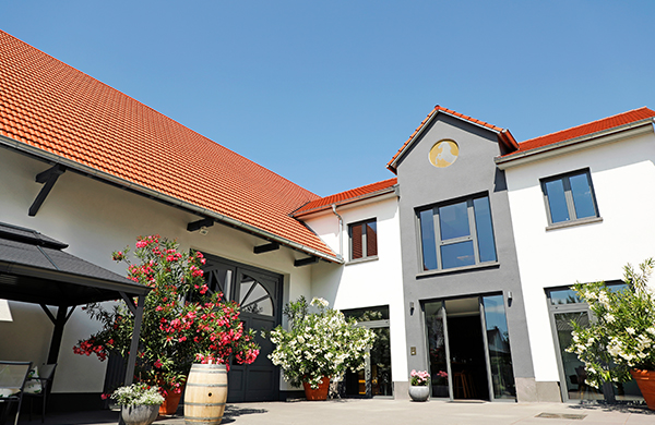 Foto 5 von Weingut Fluch-Gaul