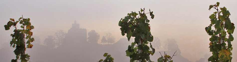 Foto 2 von Weingut Forstmeister Geltz-Zilliken