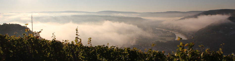 Foto 1 von Weingut Forstmeister Geltz-Zilliken