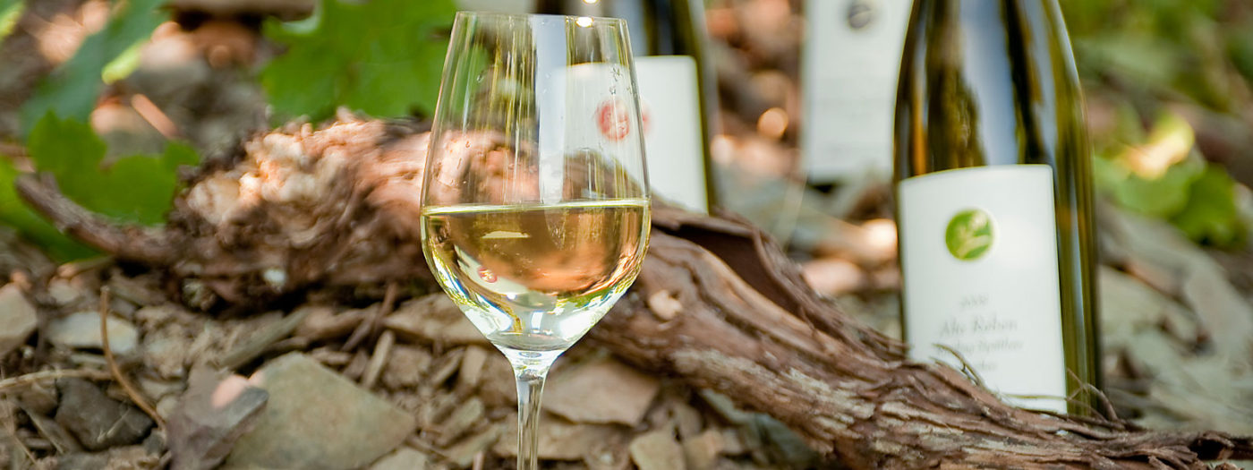 Foto 2 von Weingut Frank Brohl