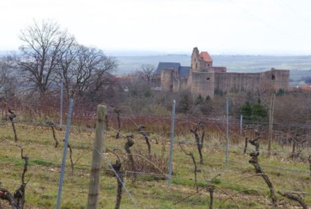 Foto 7 von Weingut Franz Nippgen