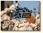 Weingut Franz Weber und Sohn