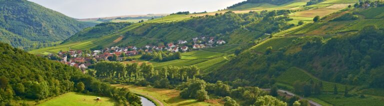 Foto 4 von Weingut Franzmann