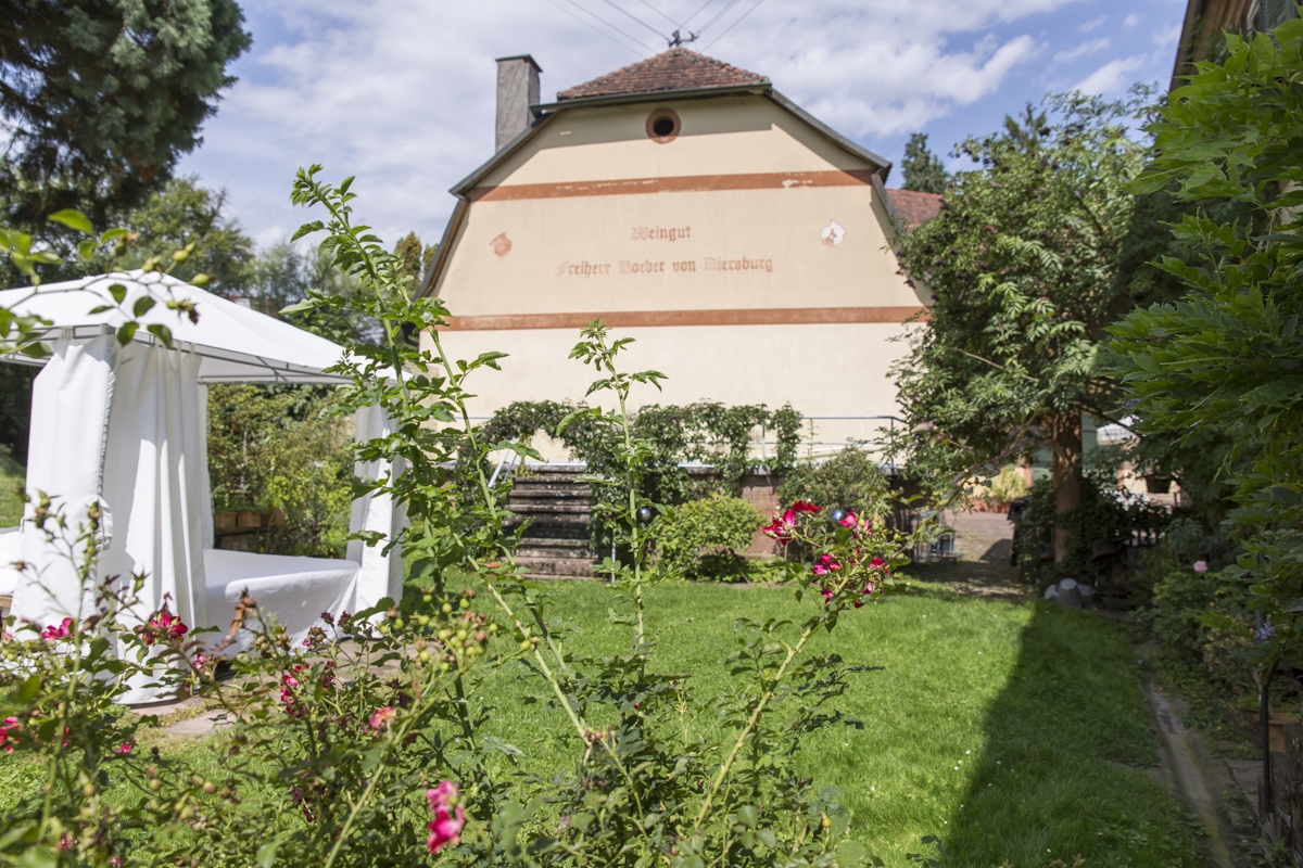 Foto 5 von Weingut Freiherr Roeder von Diersburg
