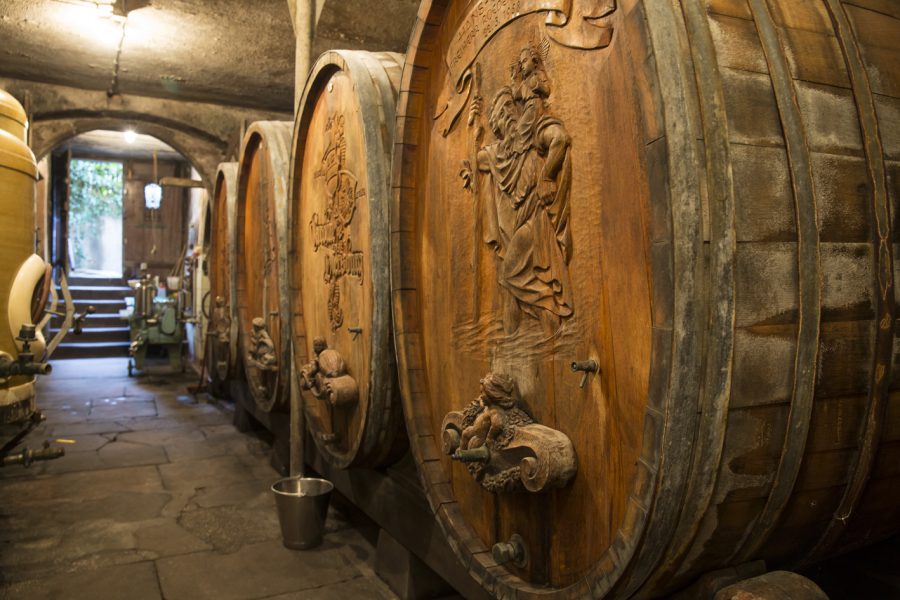 Foto 2 von Weingut Freiherr Roeder von Diersburg
