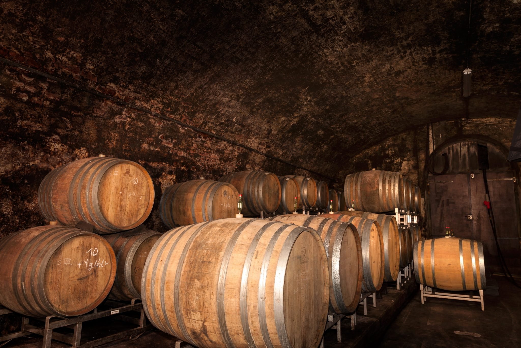 Фото 7 з Weingut Freiherr von und zu Franckenstein