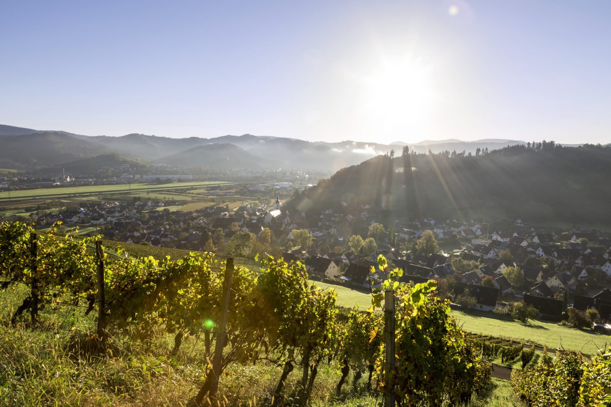 Фото 6 з Weingut Freiherr von und zu Franckenstein