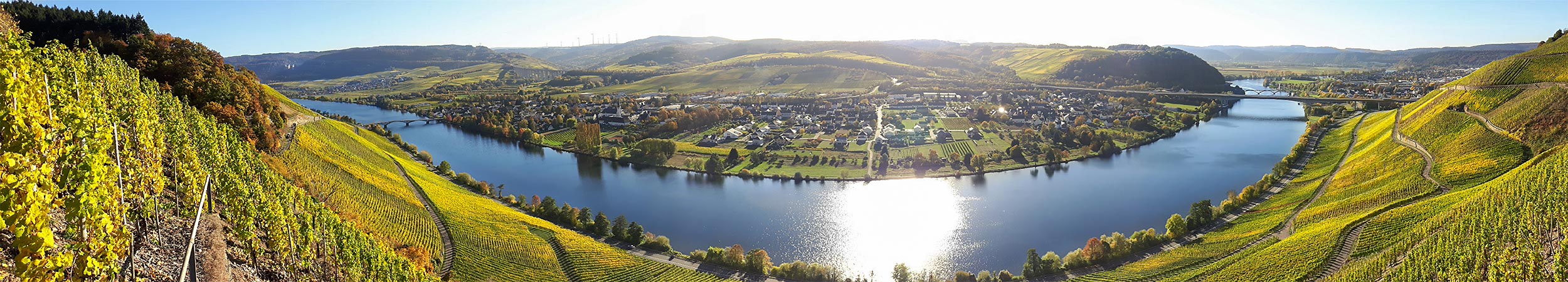 Foto 1 von Ferienweingut Jung