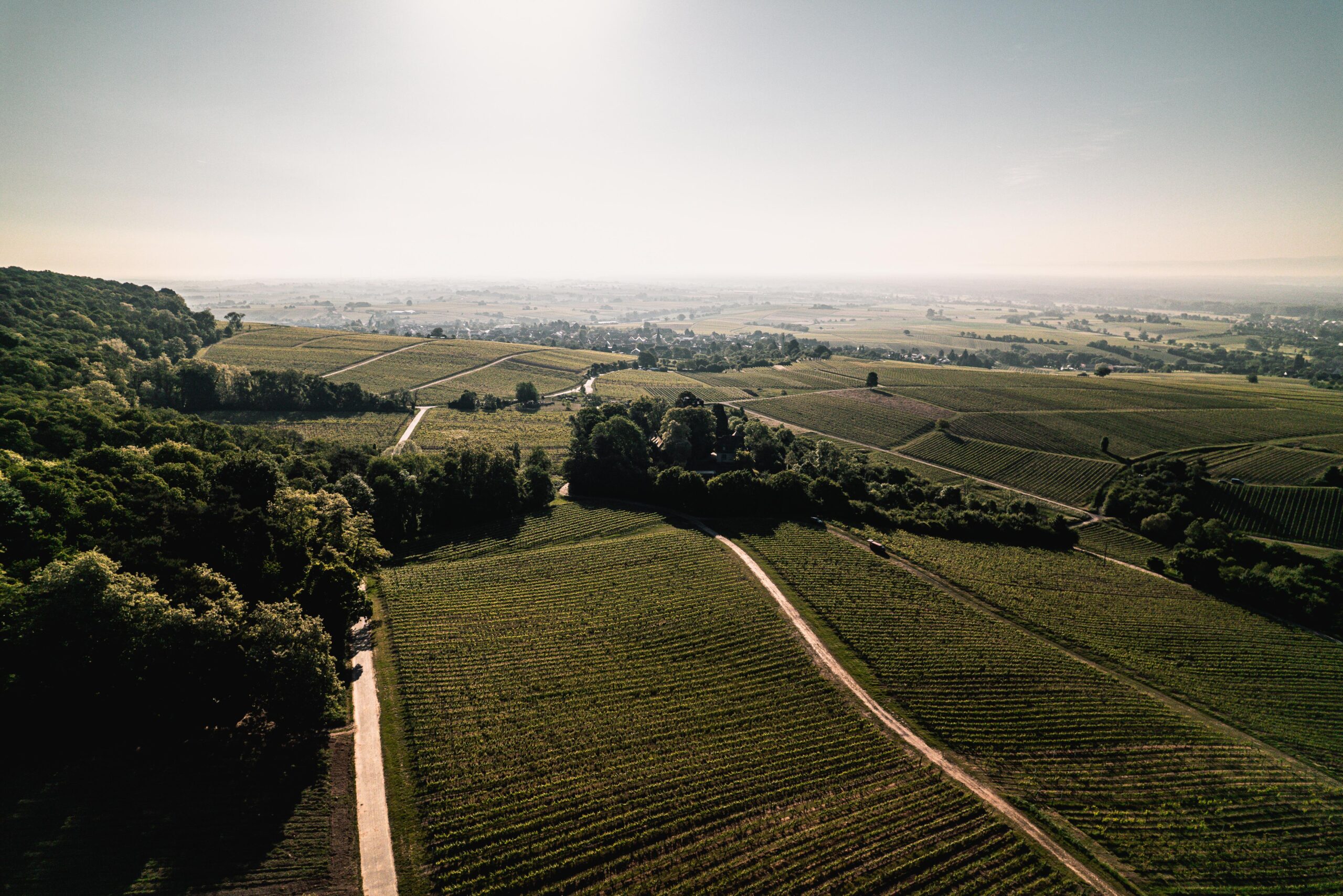Weingut Friedrich Becker