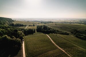 Foto 1 von Weingut Friedrich Becker