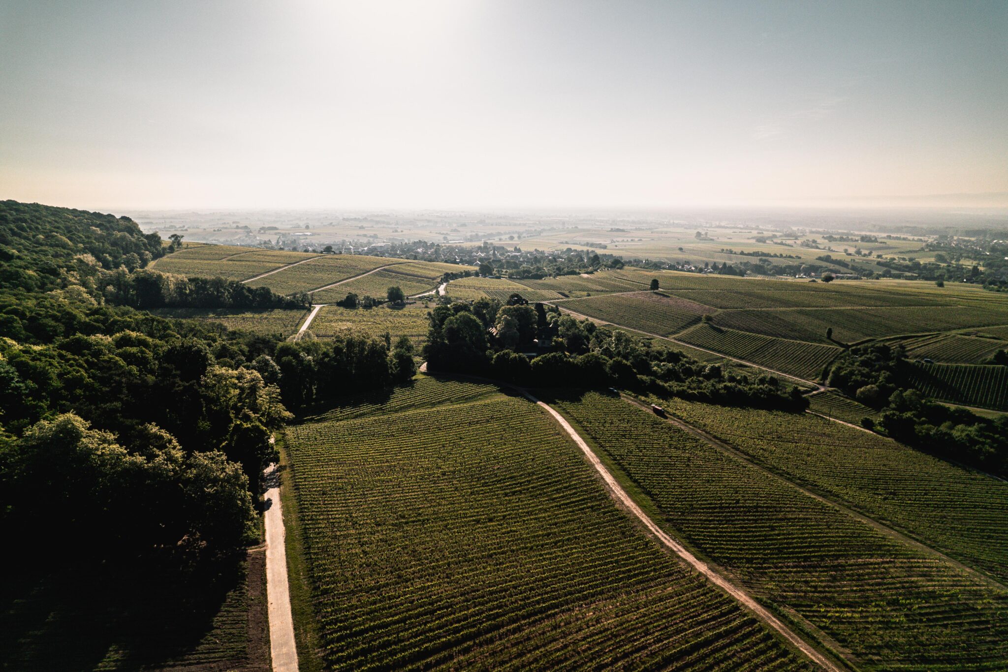 Foto 5 von Weingut Friedrich Becker