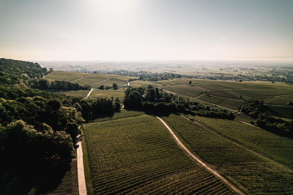 Foto 2 von Weingut Friedrich Becker