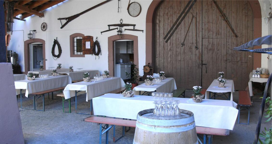 Foto 2 von Weingut Fritz Bolanz