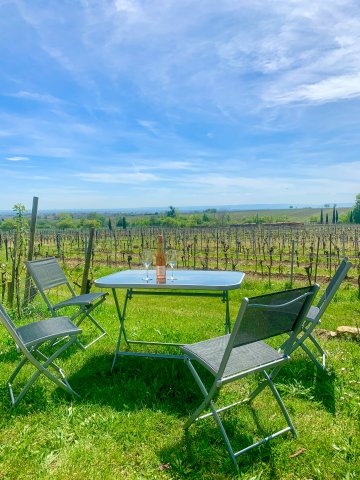 Foto 4 von Weingut Fritz Wadle
