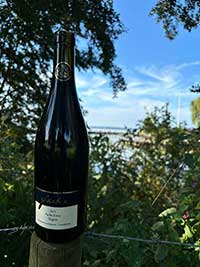 Foto 5 von Weingut Fuchs