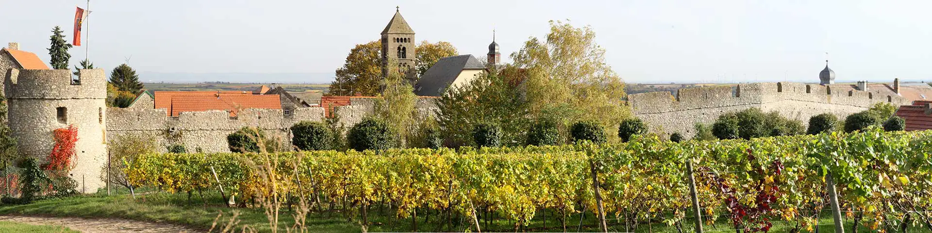 Foto 4 von Weingut Fuchs