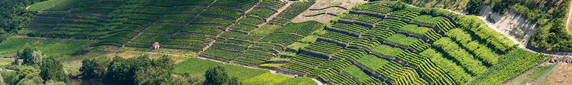 Weingut Fürst Löwenstein