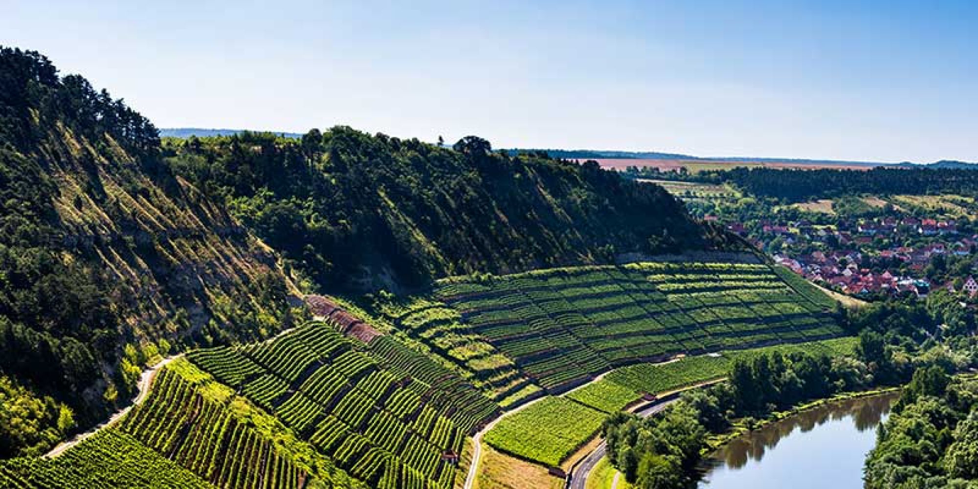 Foto 1 von Weingut Fürst Löwenstein