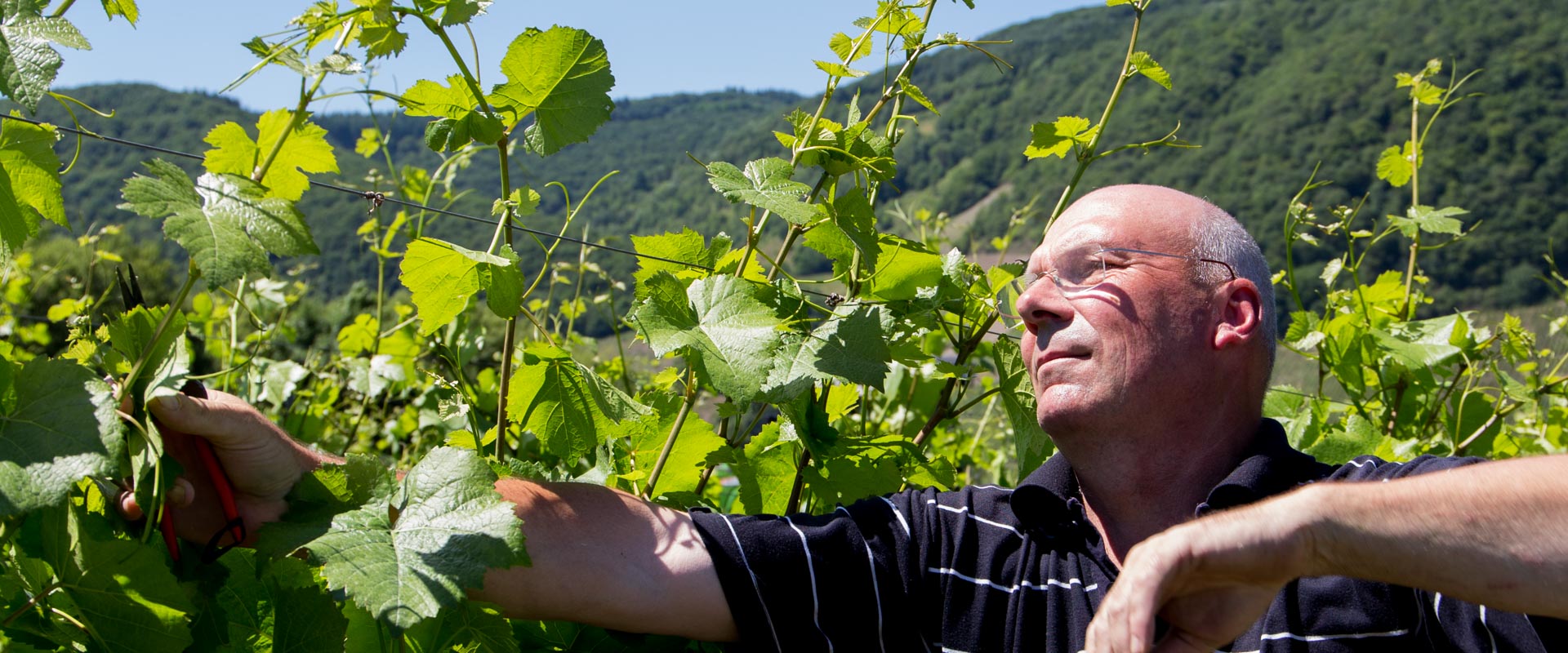 Foto 3 von Ferienweingut Kreuzgarten