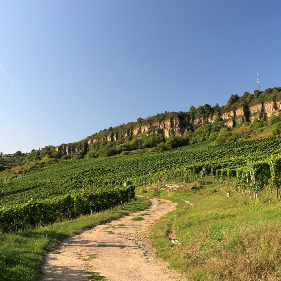 Foto 1 von Weingut-Gästehaus Dostert