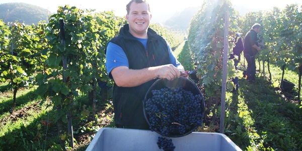 Foto 1 von Ferienweingut Lönartz-Thielmann