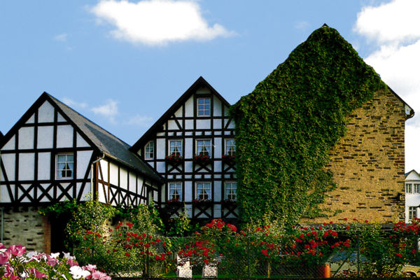 Foto 4 von Ferienweingut Lönartz-Thielmann