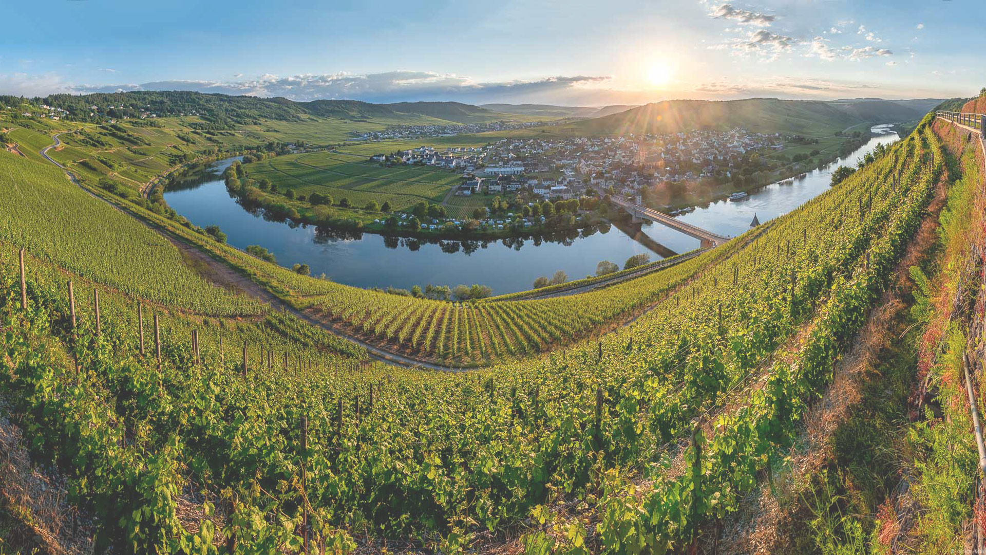 Weingut & Gästehaus Hubertushof