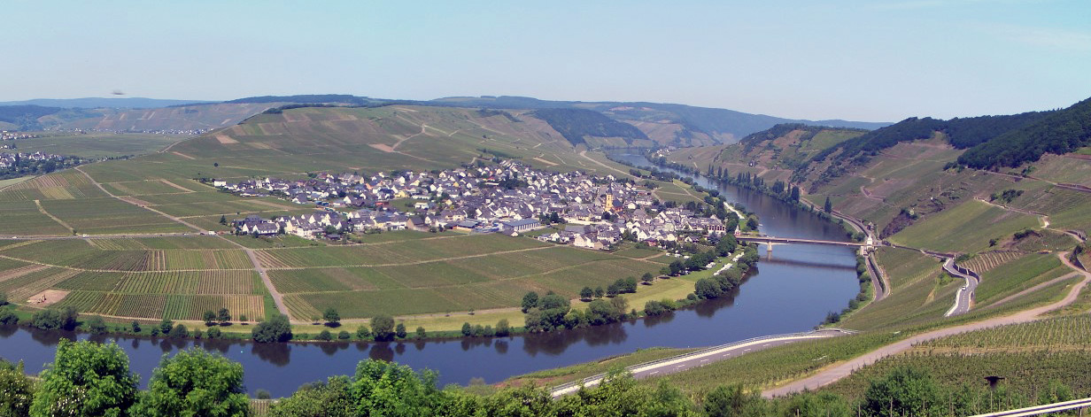 Weingut & Gästehaus